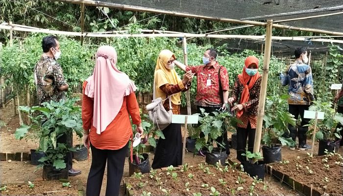 PENILAIAN LOMBA P2L DALAM RANGKA HARI PANGAN SEDUNIA DARI DINAS PERTANIAN DAN PANGAN KABUPATEN LEBUMEN 01