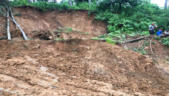 TANAH LONGSOR DI PERBATASAN DESA TLEPOK WADASMALANG 01